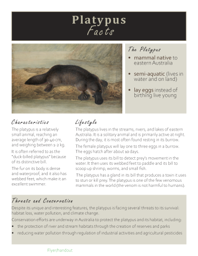 Flyer/handout design – Platypus facts for general audiences