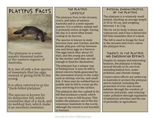 Brochure design – Platypus facts formatted as one side of a tri-fold brochure