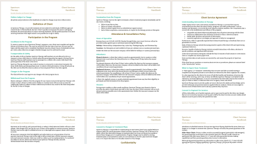 Screenshot of Microsoft Word workspace showing the original document, with basic formatting and style usage.